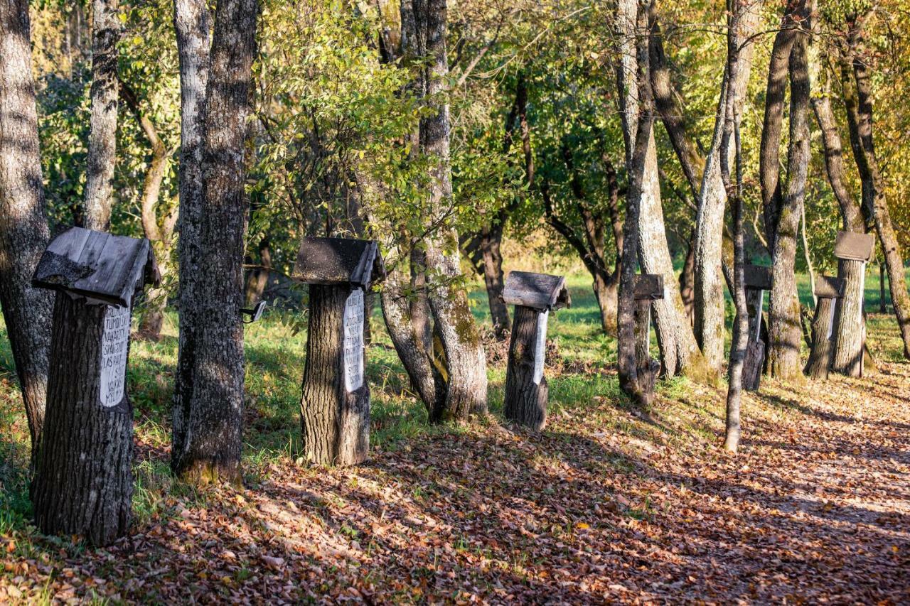 Гостевой дом Pagulbis - Tavo Namai Klabiniai Экстерьер фото